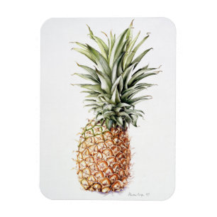 Ananas 1997 magnet