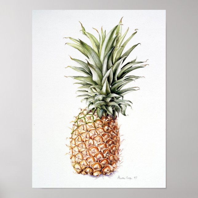 Ananas 1997 poster (Framsidan)