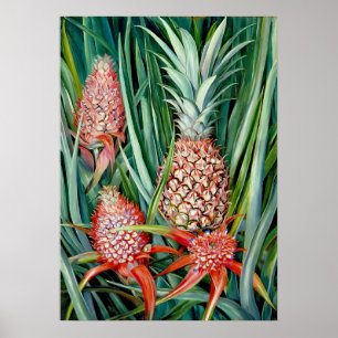 Ananas av Marianne North - Exotic Ligge Poster