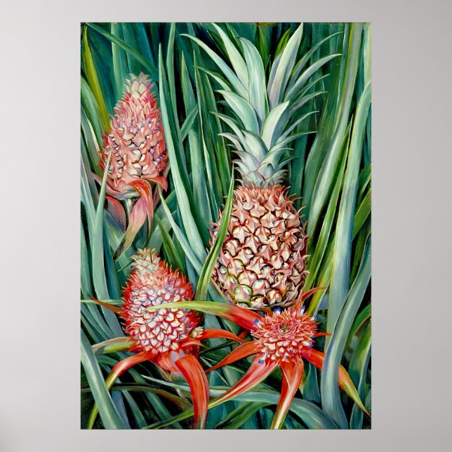 Ananas av Marianne North - Exotic Ligge Poster (Framsidan)