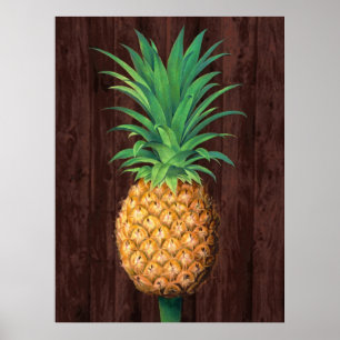 Ananas botaniska illustration mot Mahogany Poster