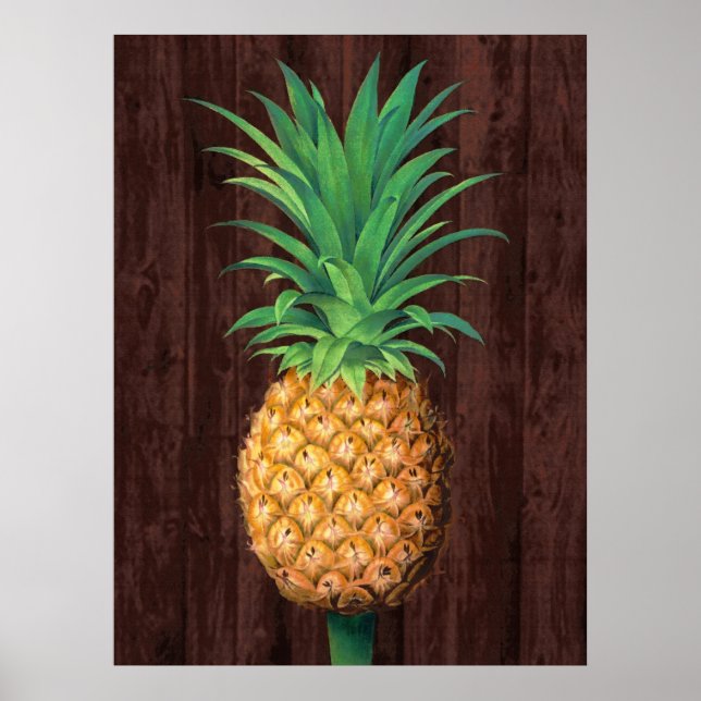 Ananas botaniska illustration mot Mahogany Poster (Framsidan)