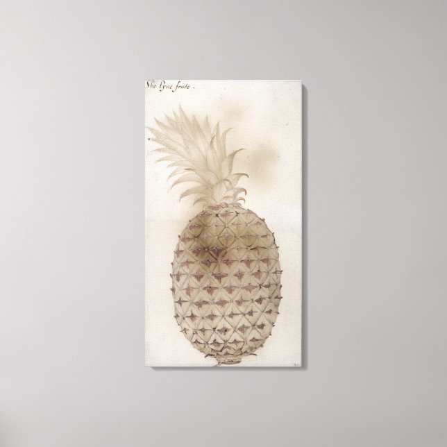 Ananas. Canvastryck (Framsida)