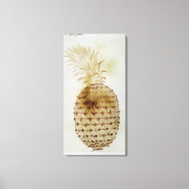 Ananas Canvastryck (Framsida)