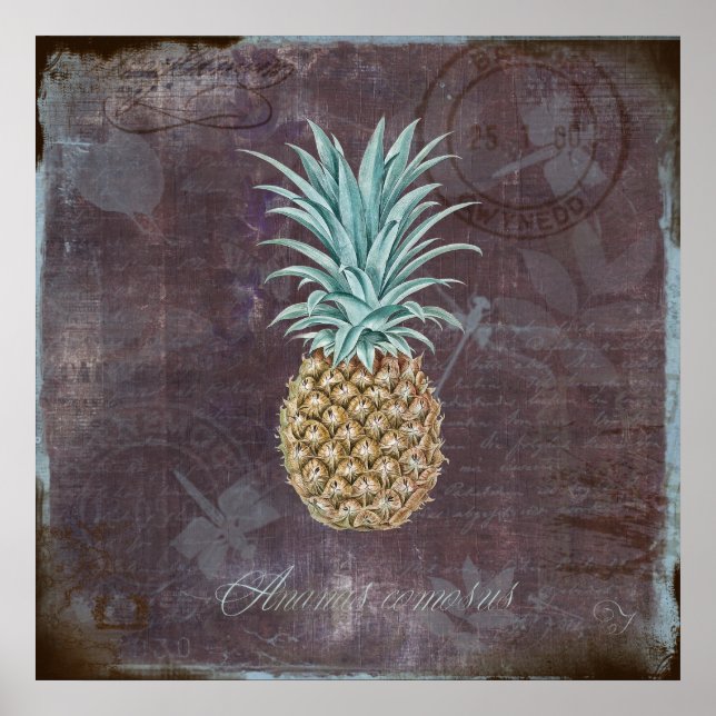 Ananas comosus poster (Framsidan)