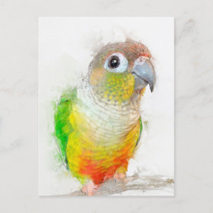 Ananas Conure Porträtt Vykort