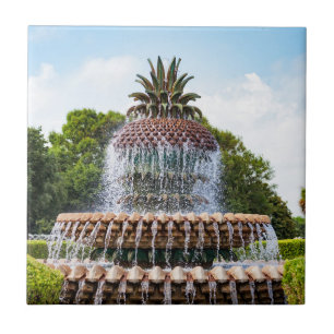 Ananas Fontän i Charleston, SC Kakelplatta