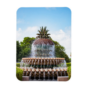 Ananas Fontän i Charleston, SC Magnet