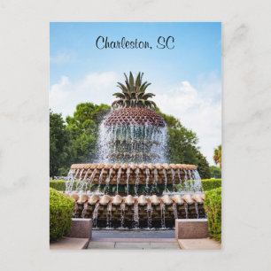 Ananas Fontän i Charleston, SC Vykort