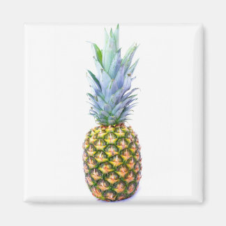 Ananas Frukt Strand Efterrätt Färgglad Tropisk Magnet