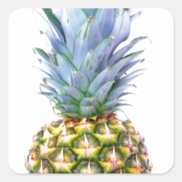 Ananas Frukt Strand Efterrätt Färgrik Tropisk Fyrkantigt Klistermärke