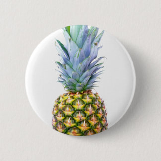 Ananas Frukt Strand Efterrätt Färgrik Tropisk Knapp