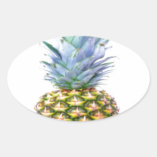 Ananas Frukt Strand Efterrätt Färgrik Tropisk Ovalt Klistermärke