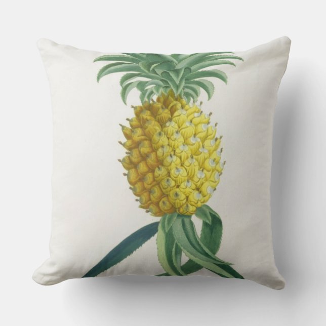 Ananas graverad av Johann Jakob Haid (1704-67) Kudde (Framsida)
