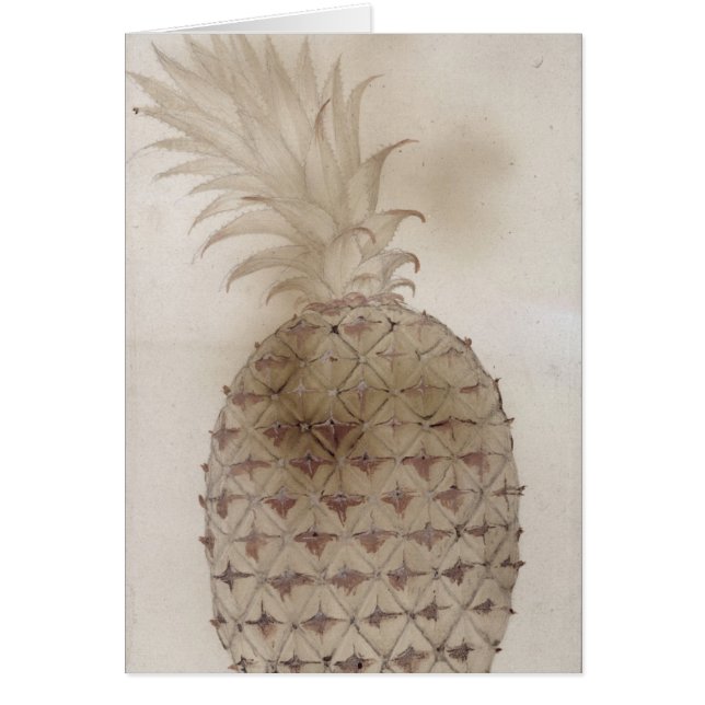 Ananas, Hälsningskort (Framsidan)