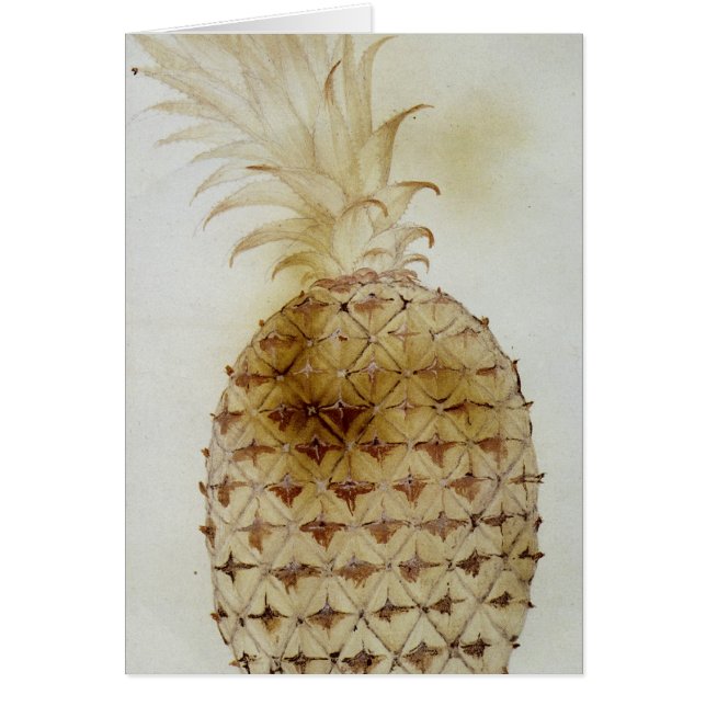 Ananas Hälsningskort (Framsidan)