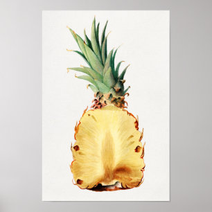 Ananas i halvfärgsfärg på färgen Frukt vattenfärg Poster
