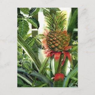 Ananas i Jungle Vykort