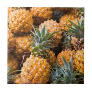 Ananas Kakelplatta