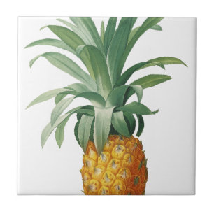Ananas Kakelplatta