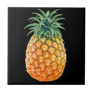 ANANAS KAKELPLATTA