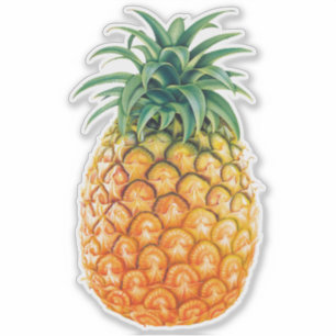 Ananas Klistermärken