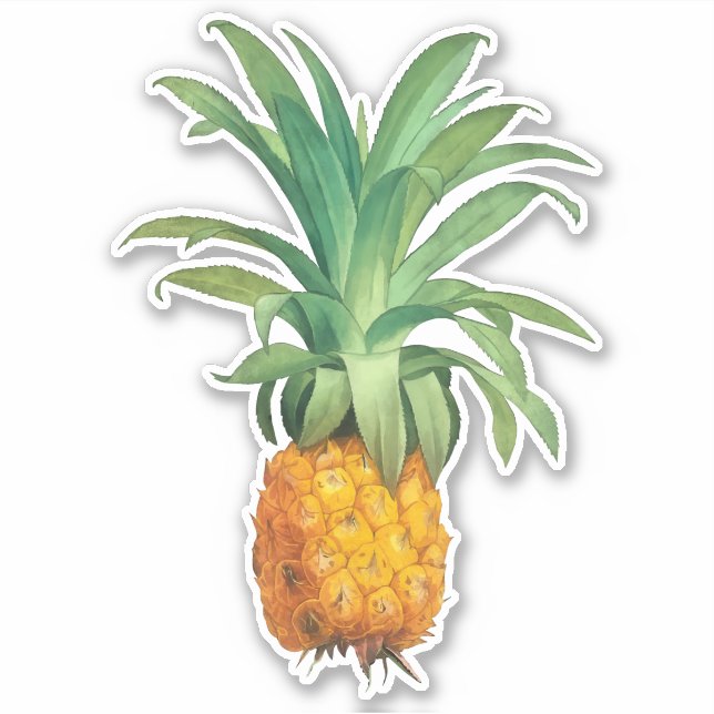 Ananas Klistermärken (Framsida)