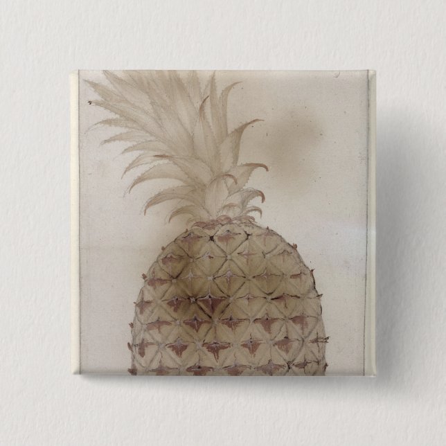 Ananas, Knapp (Framsida)