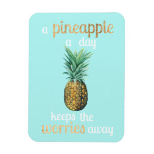 Ananas livsoffert magnet