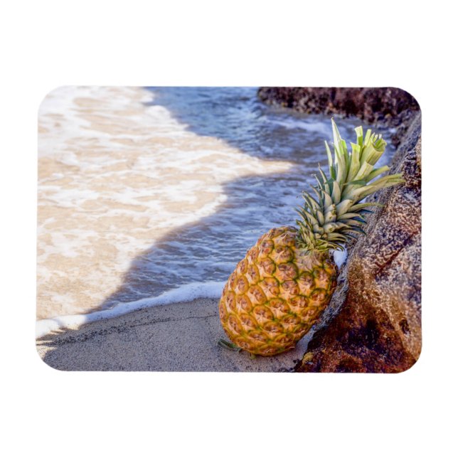 Ananas lutning på Sten vid stranden Magnet (Horisontell)