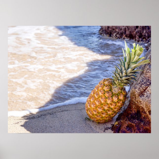 Ananas lutning på Sten vid stranden Poster (Framsidan)