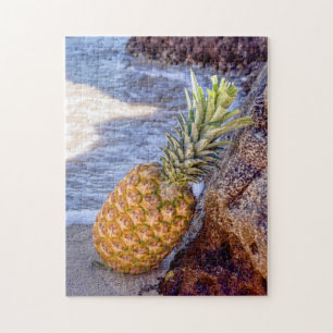 Ananas lutning på Sten vid stranden Pussel