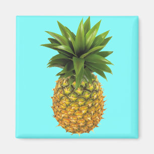 Ananas Magnet