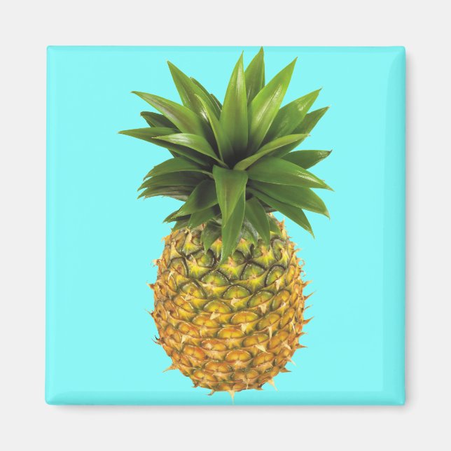 Ananas Magnet (Framsidan)