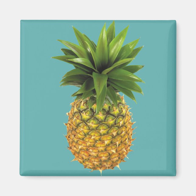 Ananas Magnet (Framsidan)