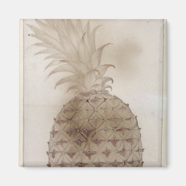 Ananas. Magnet (Framsidan)