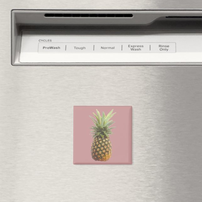 Ananas Magnet (In Situ (Dishwasher))