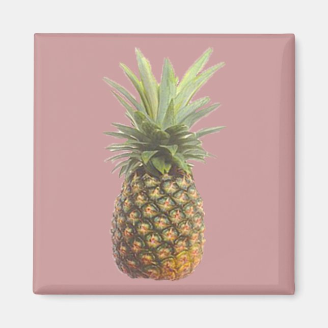 Ananas Magnet (Framsidan)
