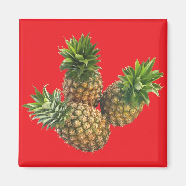Ananas Magnet (Framsidan)