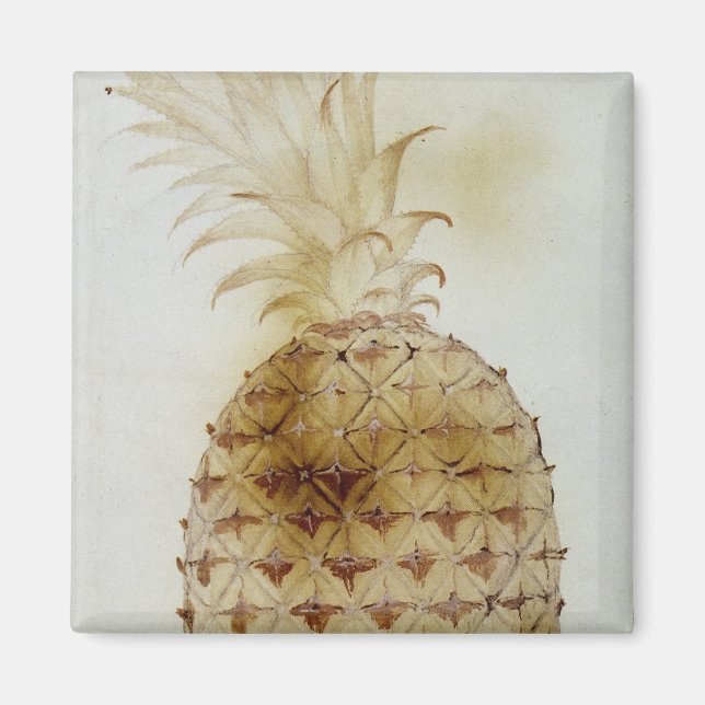 Ananas Magnet (Framsidan)
