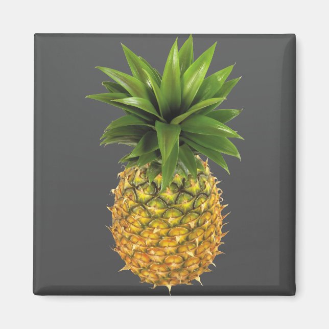 Ananas Magnet (Framsidan)