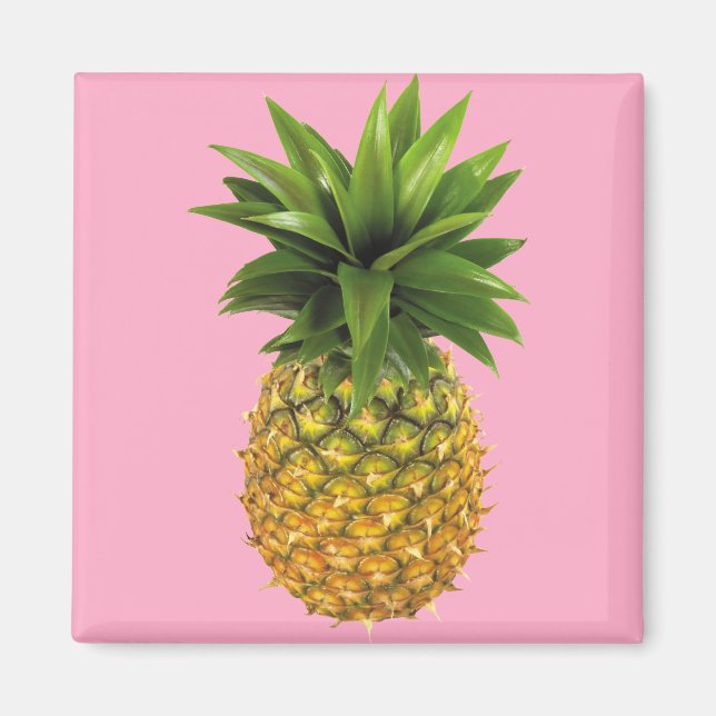 Ananas Magnet (Framsidan)