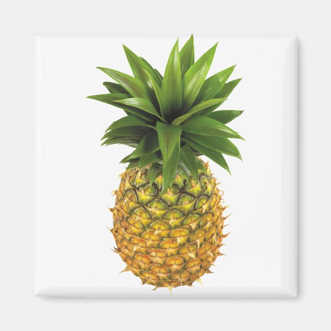 Ananas Magnet (Framsidan)