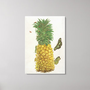 Ananas med caterpillaren och fjärilar (räcka-c canvastryck
