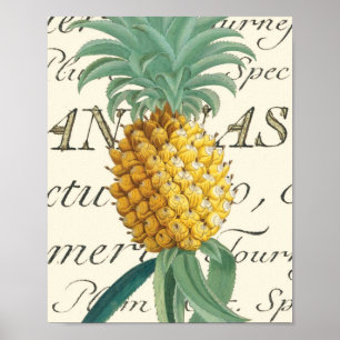 Ananas med kalligrafisk detalj poster