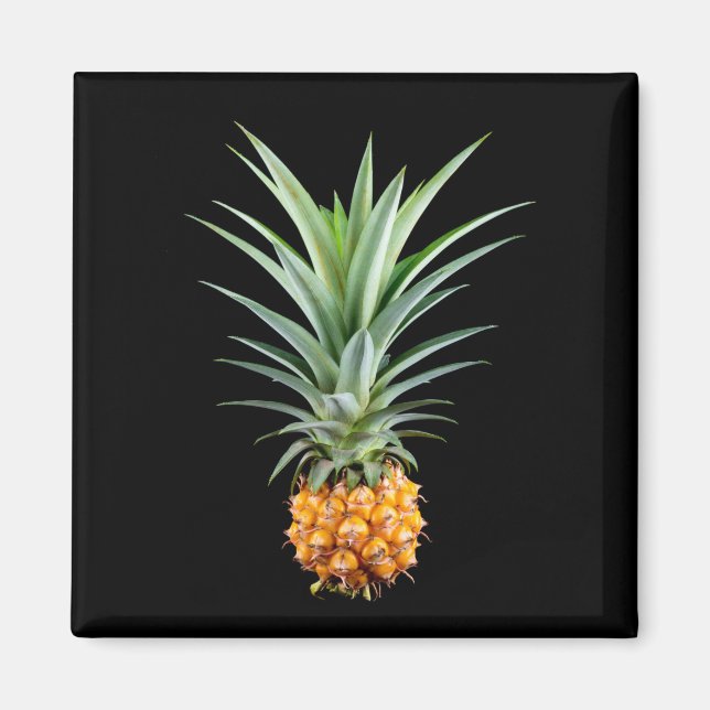 Ananas med stort hårdo på svart bakgrund magnet (Framsidan)