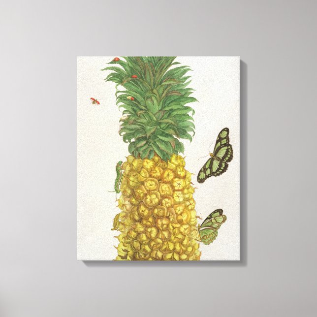 Ananas med vattenpelare och fjärilar (hand-c canvastryck (Framsida)