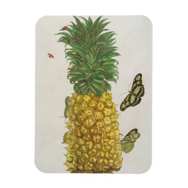 Ananas med vattenpelare och fjärilar (hand-c magnet (Vertikal)