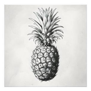 Ananas monokromatisk skiss fototryck