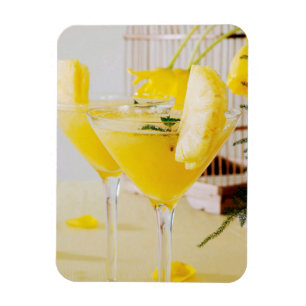 Ananas och ingefära Fresca cocktail Magnet